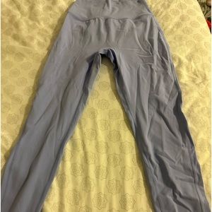 BuffBunny Legacy in Rainwater Blue